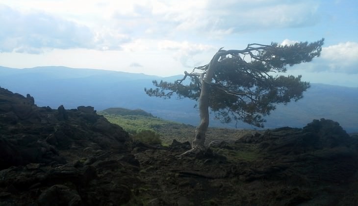 Hiking Nebrodi - adventure in the nature