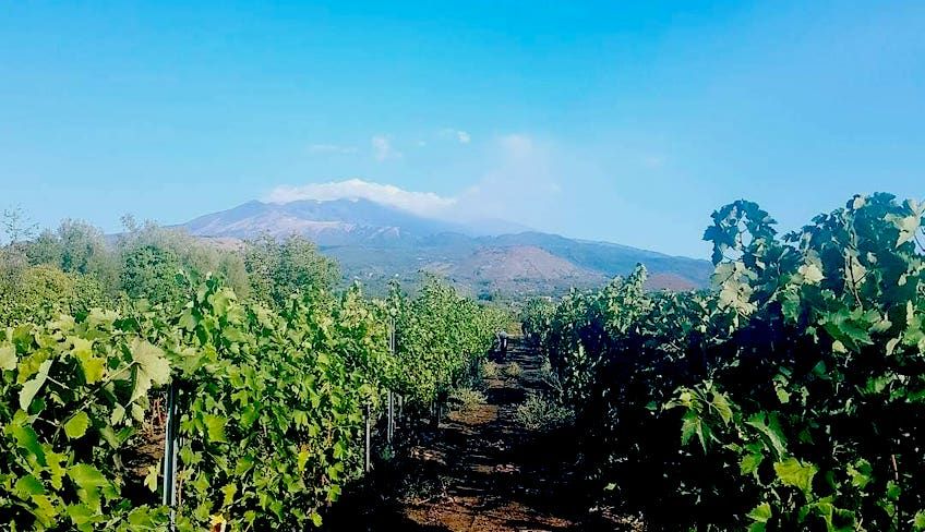 etna wine tour - 