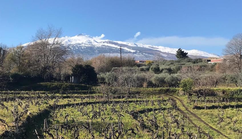 etna wine tour - 