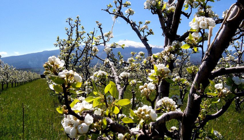 wine tasting Sicily - 