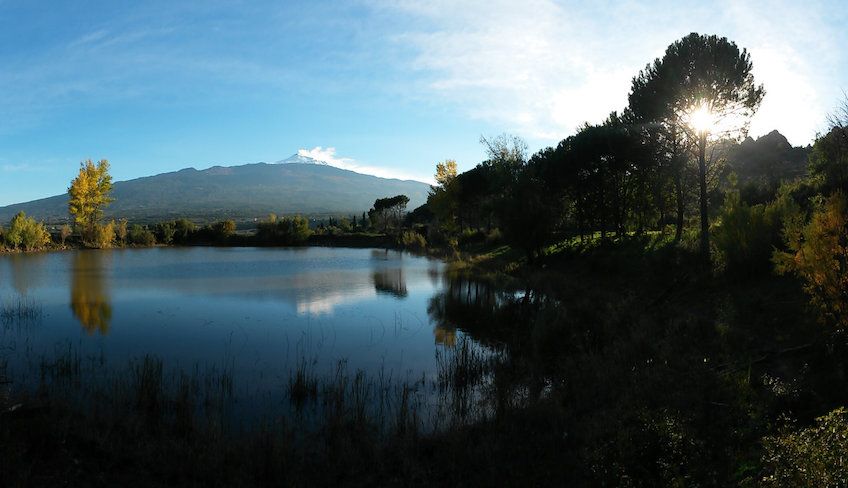 wine tasting Sicily - 