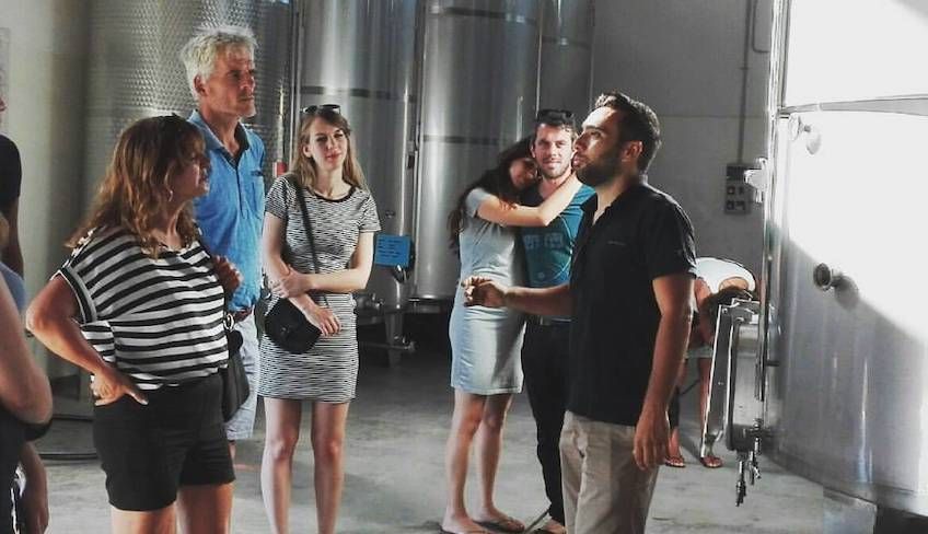 wine tour trapani - 