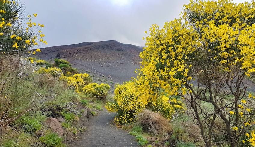 stromboli excursions - trekking stromboli