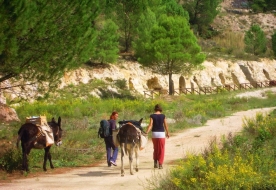 trekking sicily 