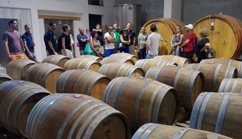 Etna wine tour - 