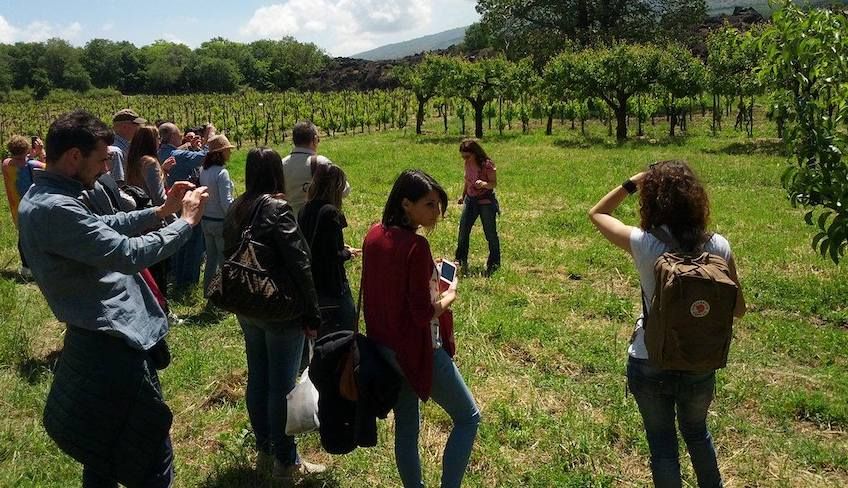 Etna wine tour - 