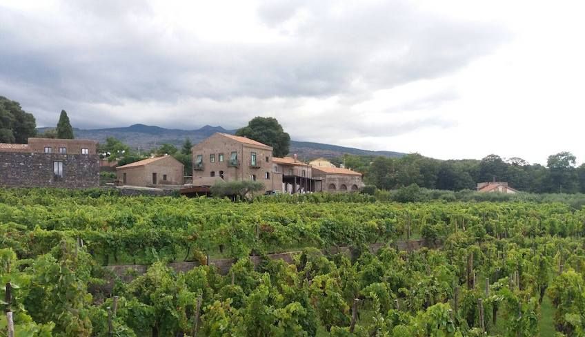 Etna wine tour - 