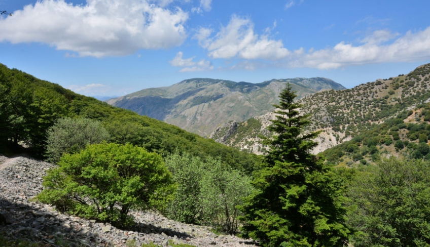 Madonie panorama