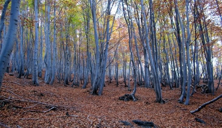 Hiking Etna - trekking Sicily