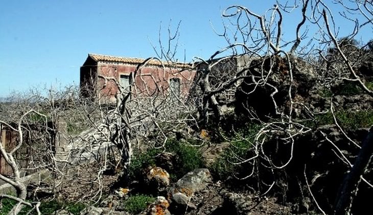 Hiking Etna - trekking Sicily