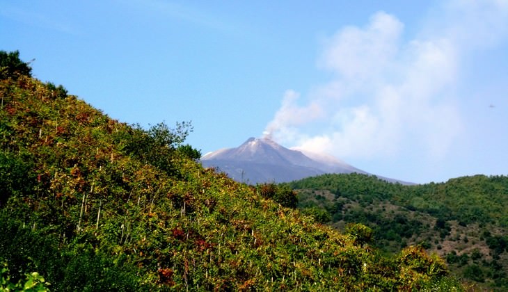 Dinner Etna - wine tasting sicily