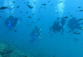 Diving Siracusa - school sport Sicily  