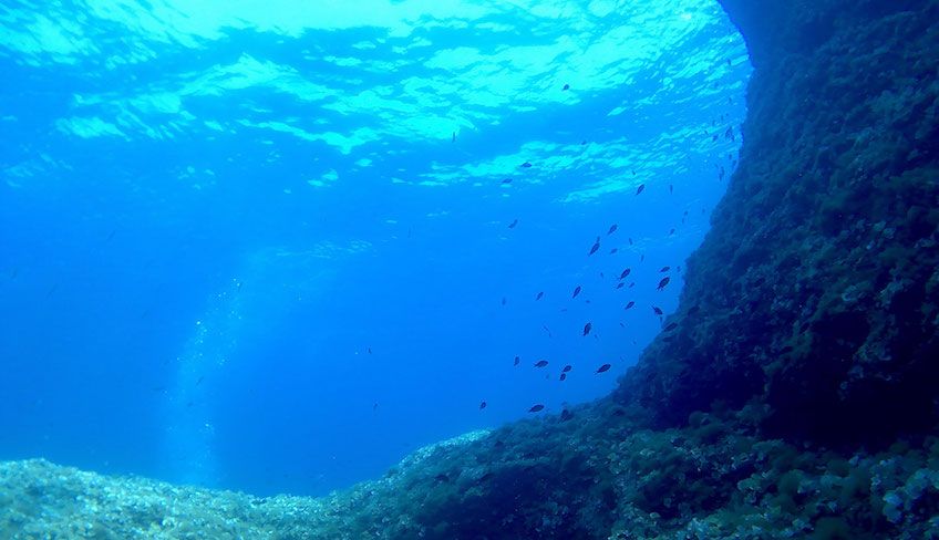 Diving Siracusa - school sport Sicily 