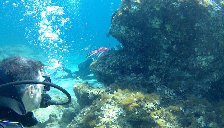 Diving Siracusa - activities sports Sicily 