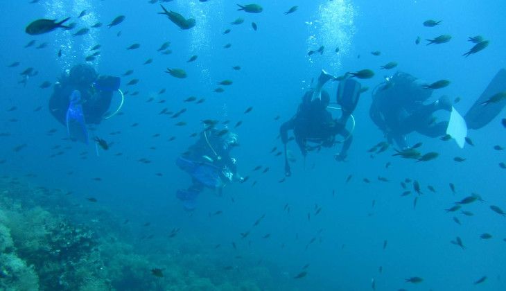 Diving Siracusa - school sport Sicily 