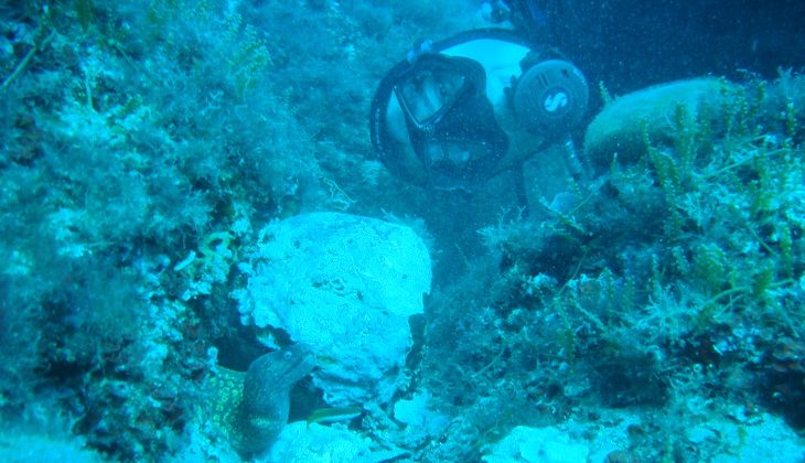 Diving Siracusa - underwater depths Sicily 