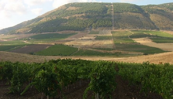 Cellar Marsala - sicily wine country hotels