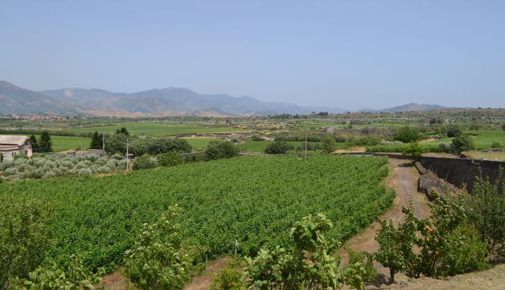 Cellar Etna - top wines sicily