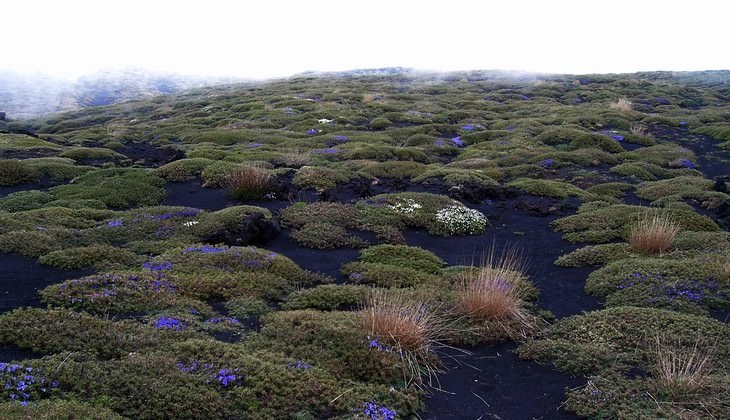 hiking Etna - volcanoes of sicily