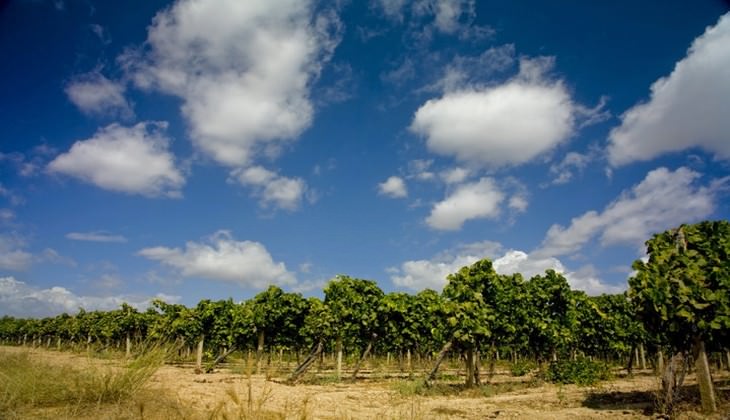 Cellar Siracusa - sicily wine country map