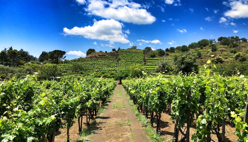 Cellars & Wineyards Holiday in Sicily -Cellar Etna