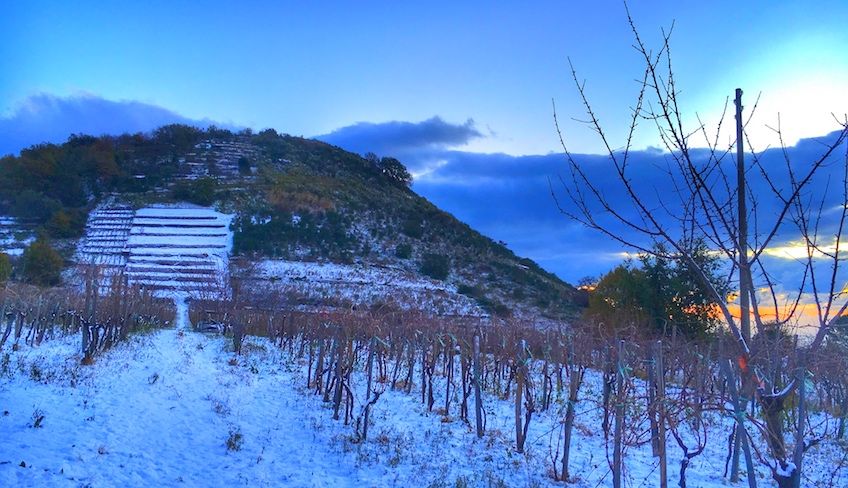 Cellar Etna - wine sicily tradition