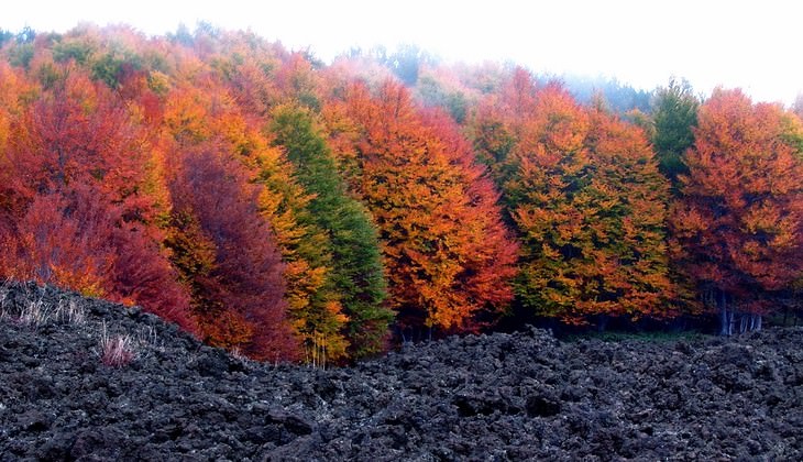 hiking Etna - sicily nature