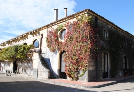 Cellars & Wineyards Holiday in Sicily -Wine tasting Catania