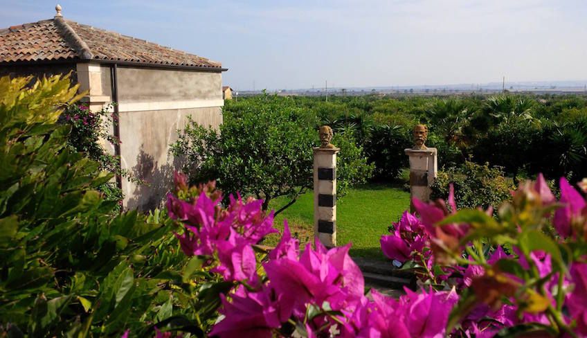 Wine tasting Catania - winery tour sicily