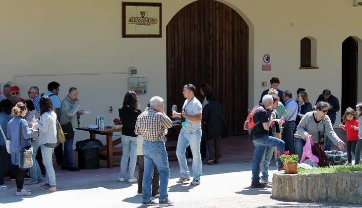 Cellar Palermo - best grapes froms sicily