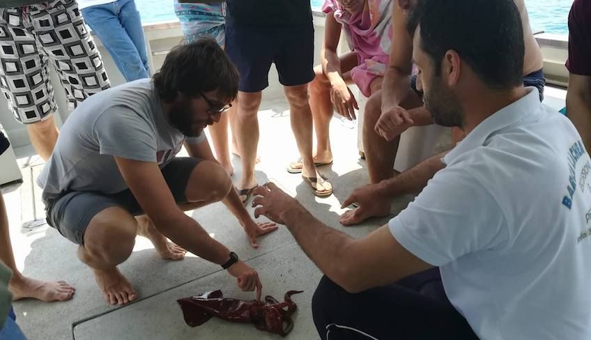 Fishing holiday  - sport Sicily