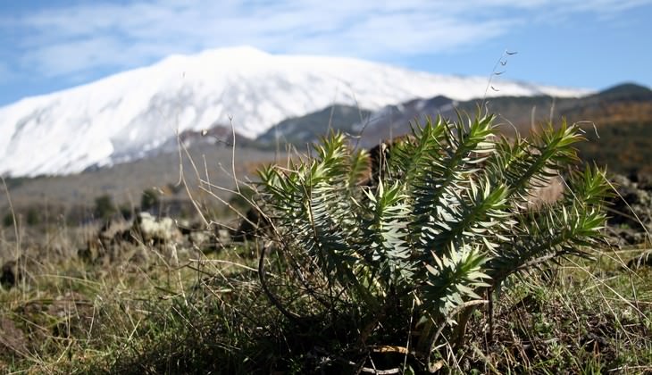 hiking Etna - trekking in the mountains