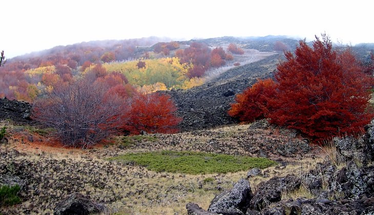 hiking Etna - trekking in the mountains