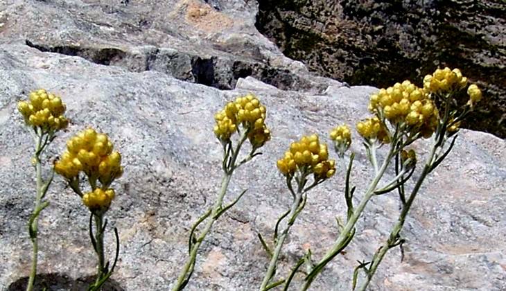 Hiking in Sicily - beauty of Sicily