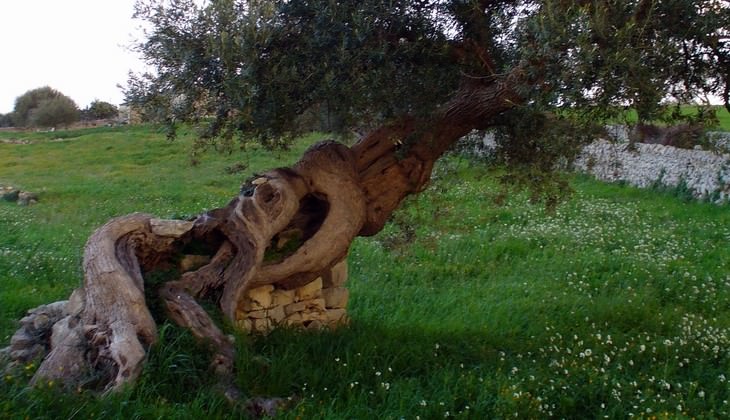 Hiking in Sicily - beauty of Sicily