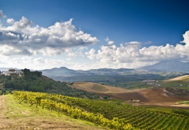 Cellars & Wineyards Holiday in Sicily -Resort Palermo