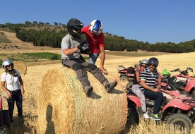 Visit Segesta - quad rental Sicily 