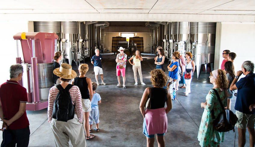 Wine tasting cellar - sicily wine region