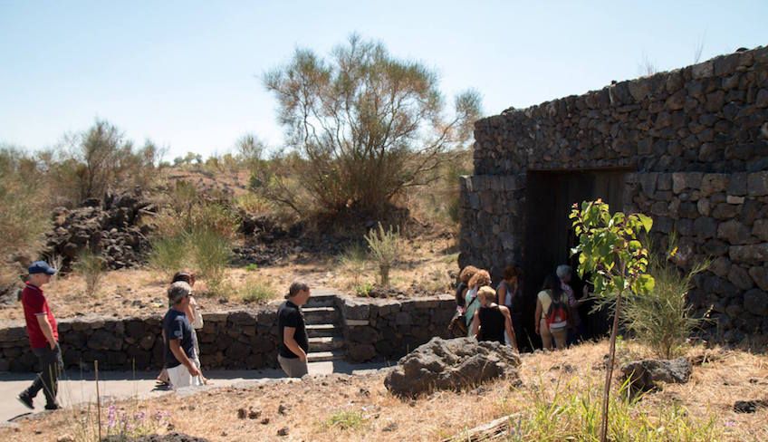 Wine tasting cellar - sicily wine region