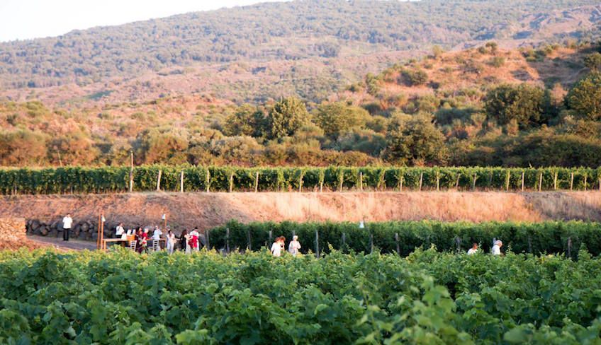 Wine tasting cellar - sicily wine region