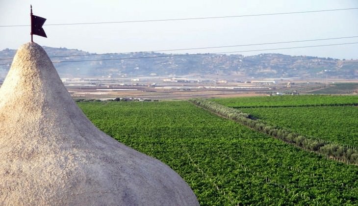 Wine tasting Sicily - sicilian wines