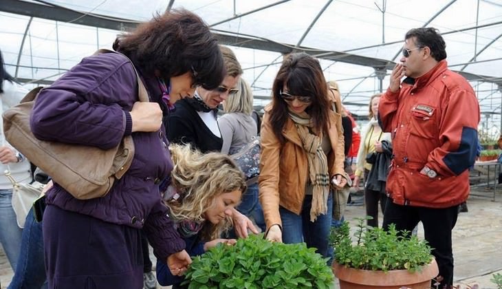 Dinner Agrigento - educational journey