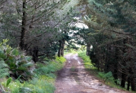 Nature Holiday in Sicily -Park in sicily