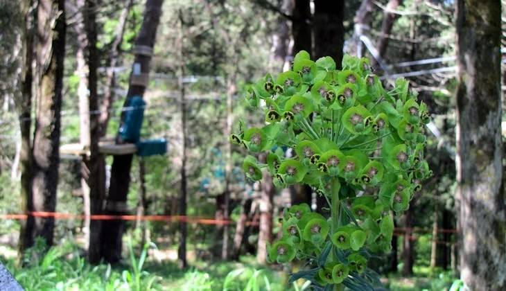 Park in sicily - walking holidays italy