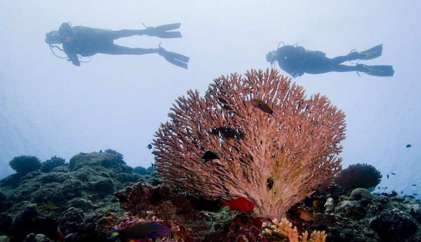 Diving in Sicily - water sports