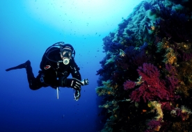 Diving in Sicily - water sports 