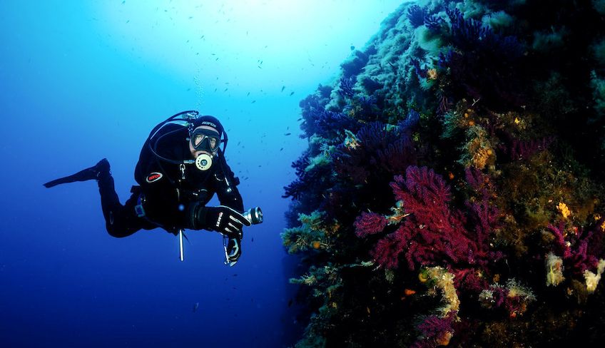 Diving in Sicily - summer activity holidays