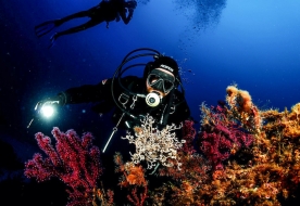 Diving in Sicily - summer activity holidays 