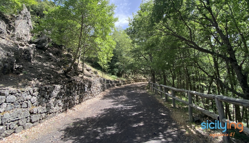 etna bosco bici