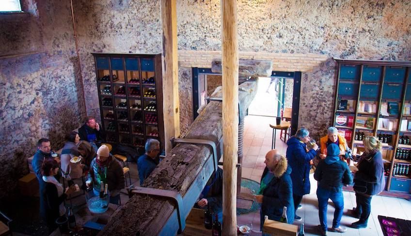 wine tasting cellar - 